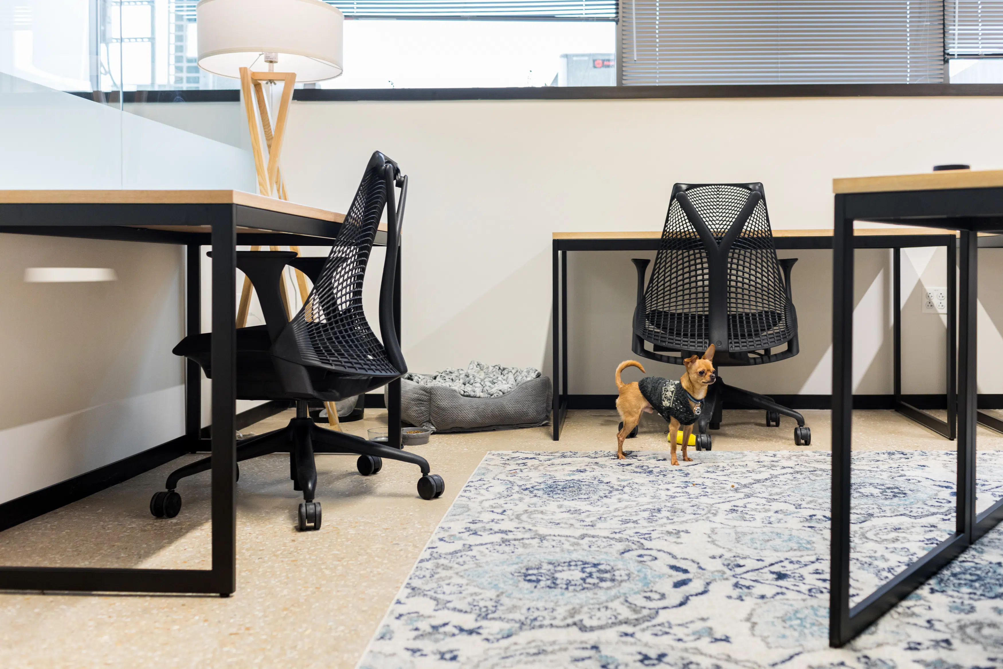 Industrious Alexandria Carlyle Tower